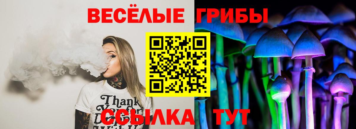 Псилоцибиновые грибы Psilocybe  Вход с VPN  Чебаркуль 